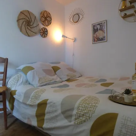 Le Cocon De La Apartment *
